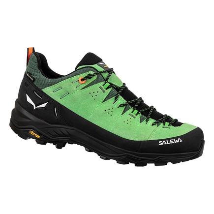 ALP TRAINER 2 GTX