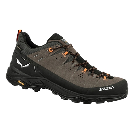 ALP TRAINER 2 GTX