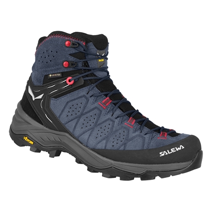 WS ALP TRAINER 2 MID GTX